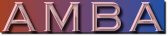 American Medical Billing Association